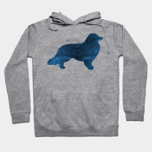 Longhaired dachshund Hoodie